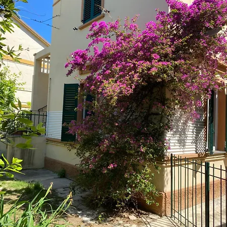 Con Giardino Con Aria Condizionata 아파트 세니갈리아